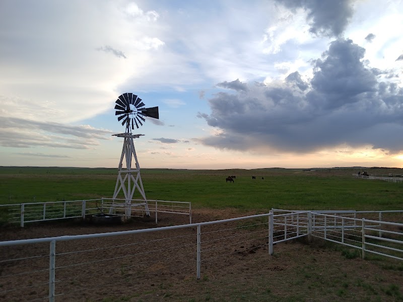 Haythorn Land & Cattle Co - Photo 2