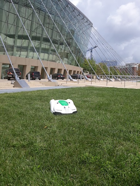 Green Outdoors Lawn and Landscape