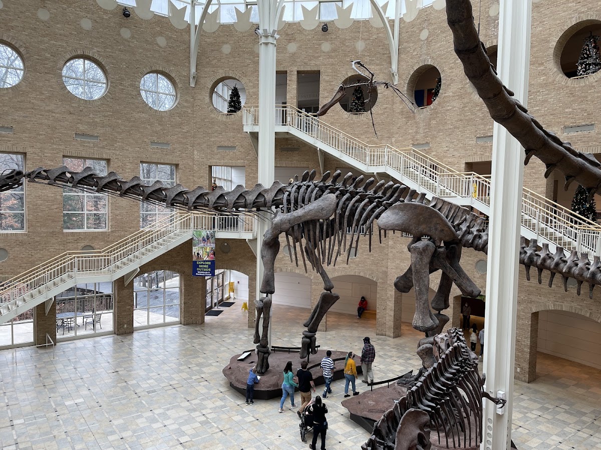 Fernbank Museum | 3D Theater | Forest photo 4