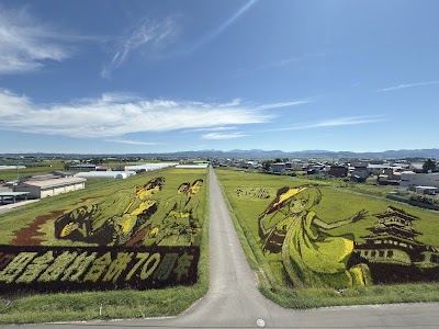 田舎館村田んぼアート 第１会場