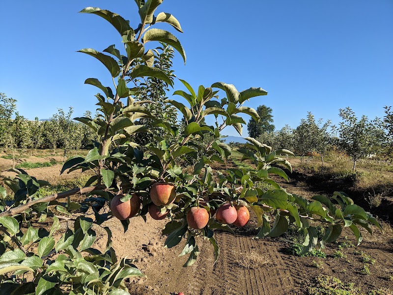 Detering Orchards - Photo 6