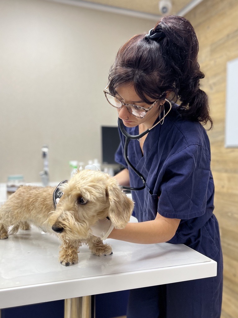 Clínica Veterinaria del Mar - Sicília