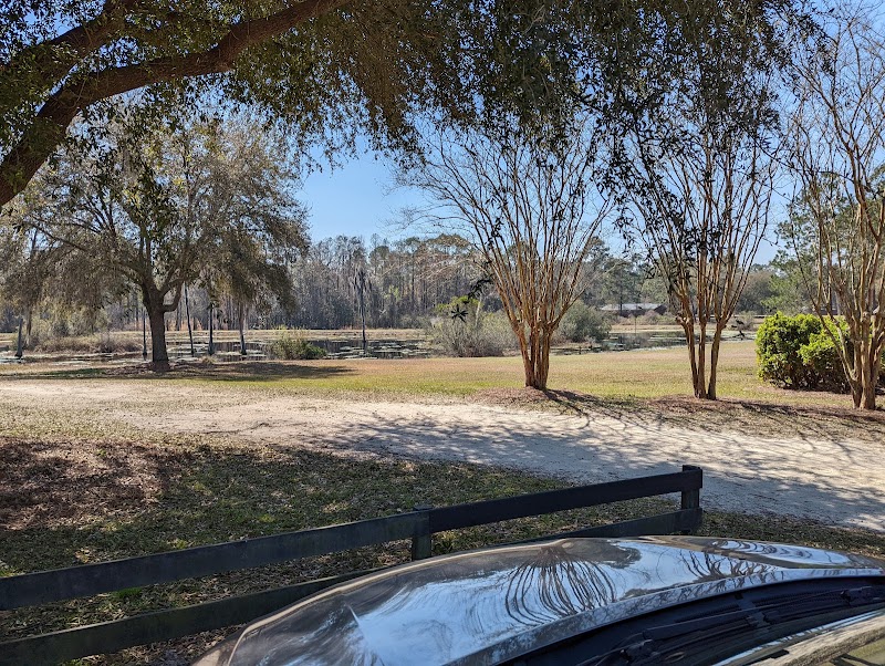 Live Oak Plantation - Photo 2