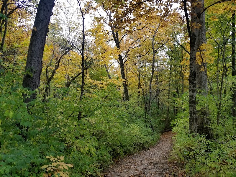 Johnson Hills Park photo 2