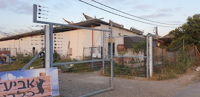 אביעד - אילוף כלבים