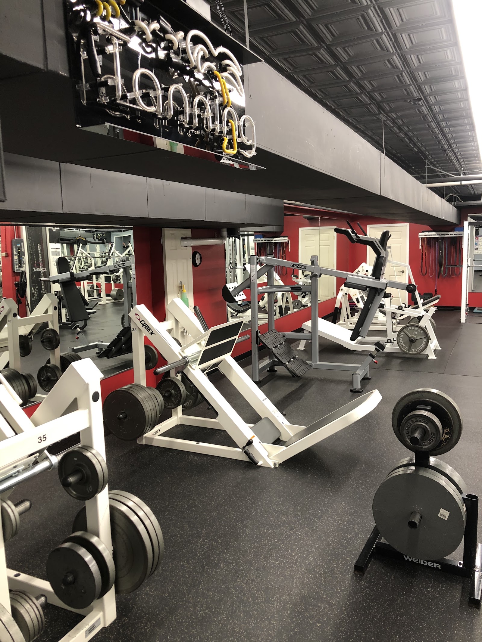The Gym Inc