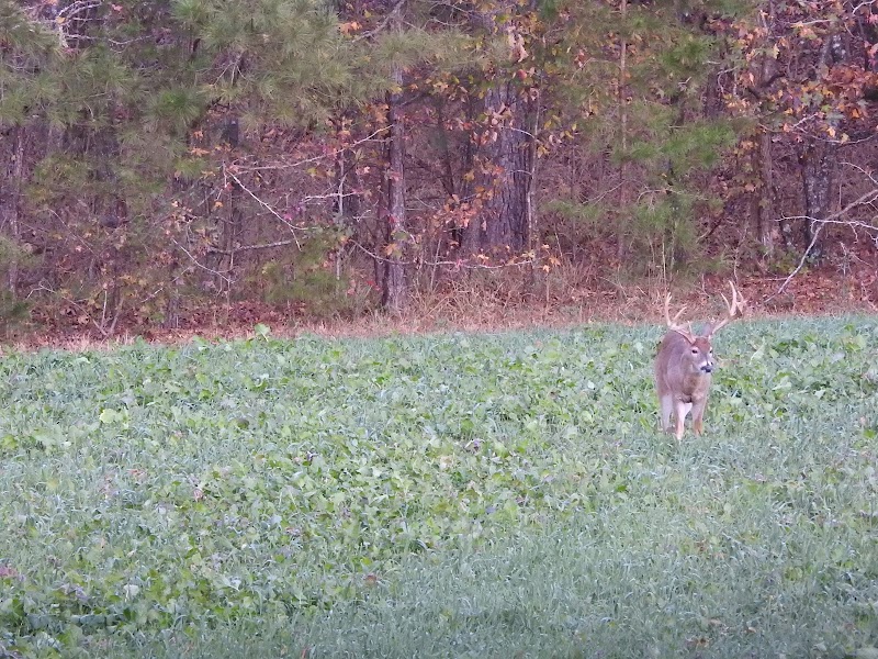 Rock Mountain Farms - Photo 6
