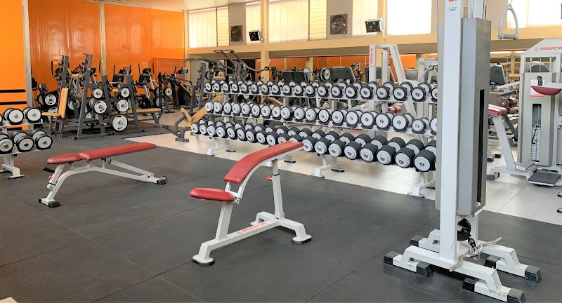 Palestra Michelangelo Lodi