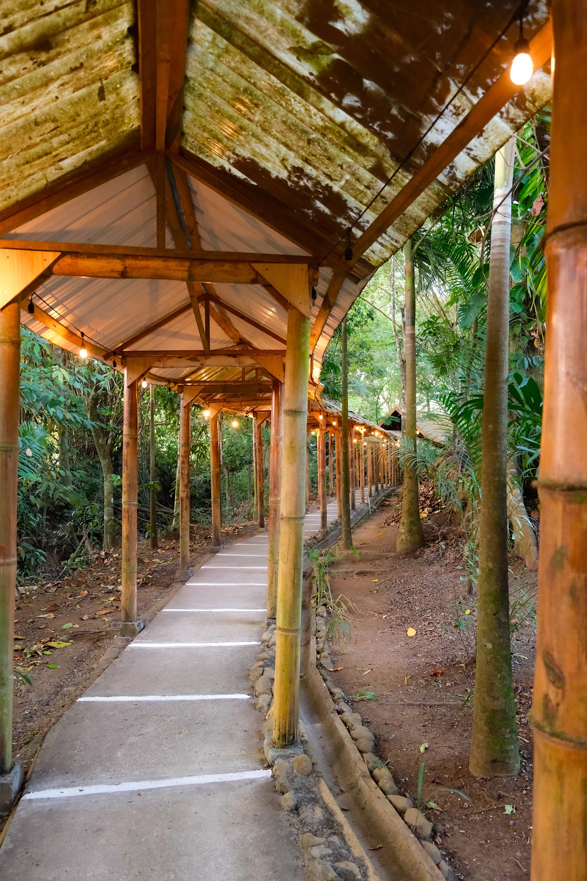 Vida Asana School of Yoga — 3