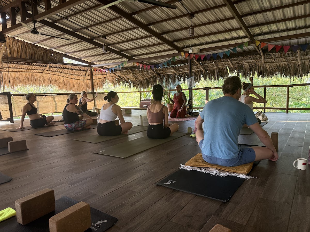 Vida Asana School of Yoga — 4