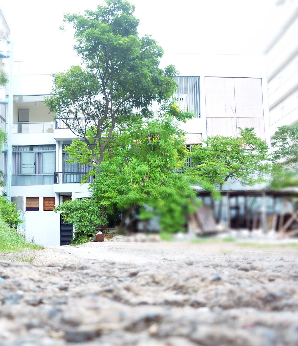 Babaji's Kriya Yoga Ashram