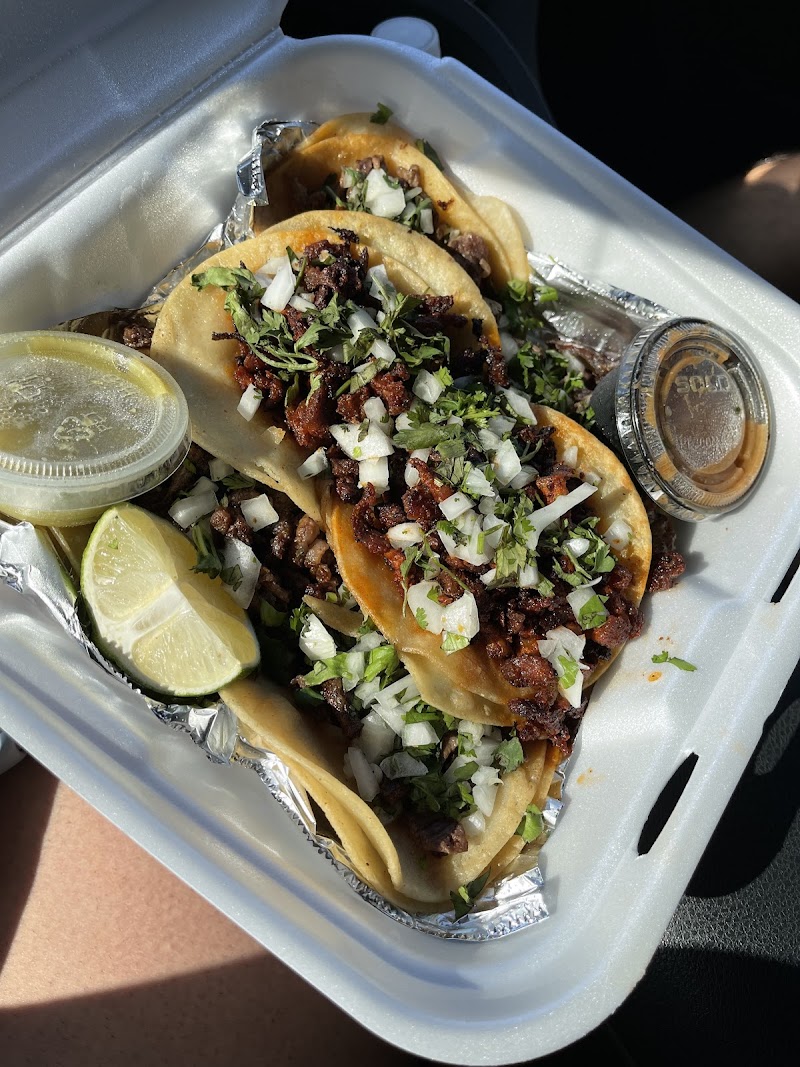 Castro's Cafe photo 4