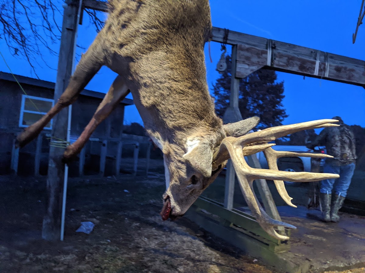 Grand River Outfitters