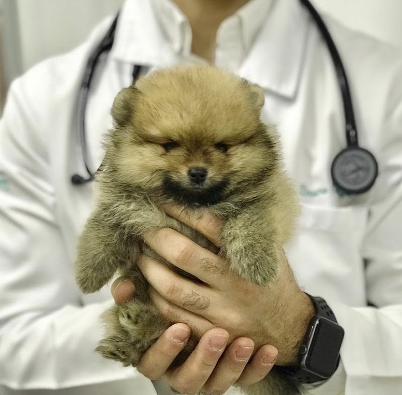 Clínica Veterinária Noroeste - foto 5