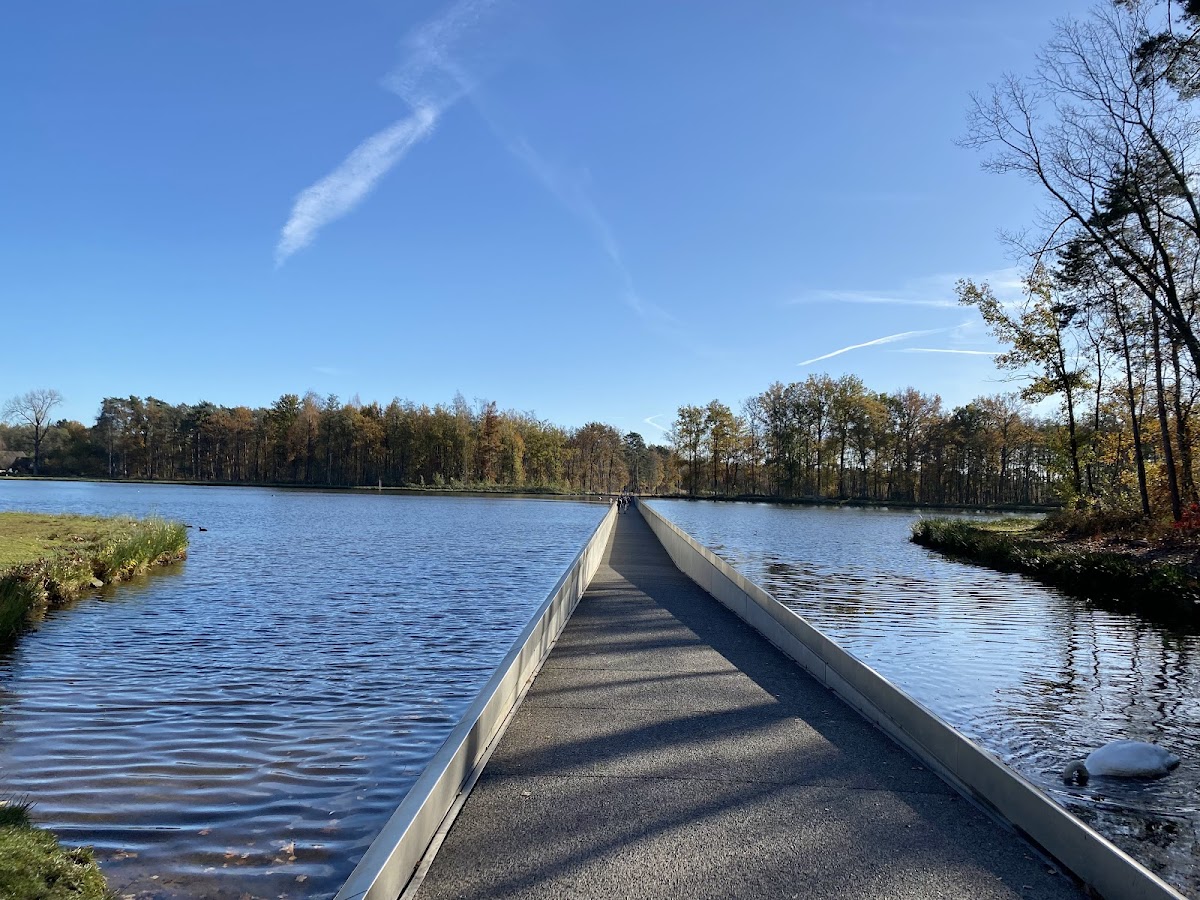 Cycling through water - Bokrijk