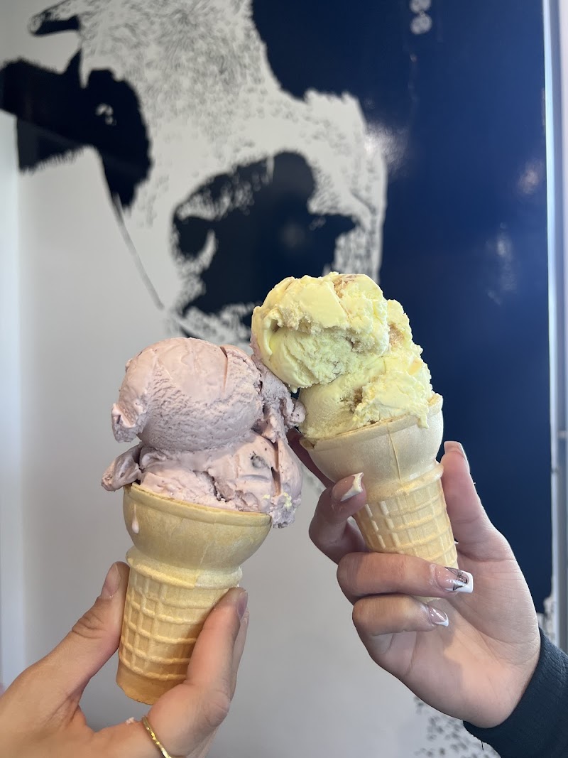 WildCow Coffee & Cream photo 2