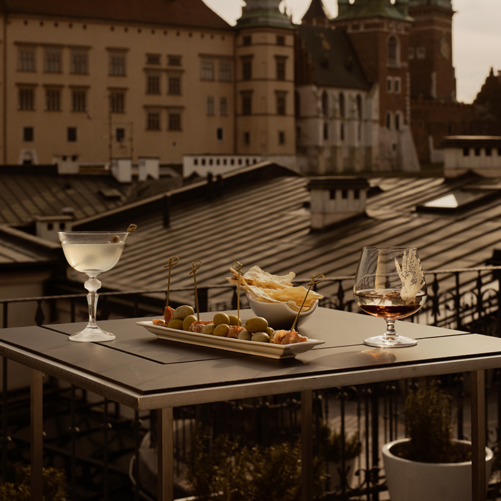 Hotel Copernicus, dog-friendly hotel in Krakow