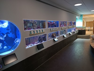 Nordsee Aquarium Borkum