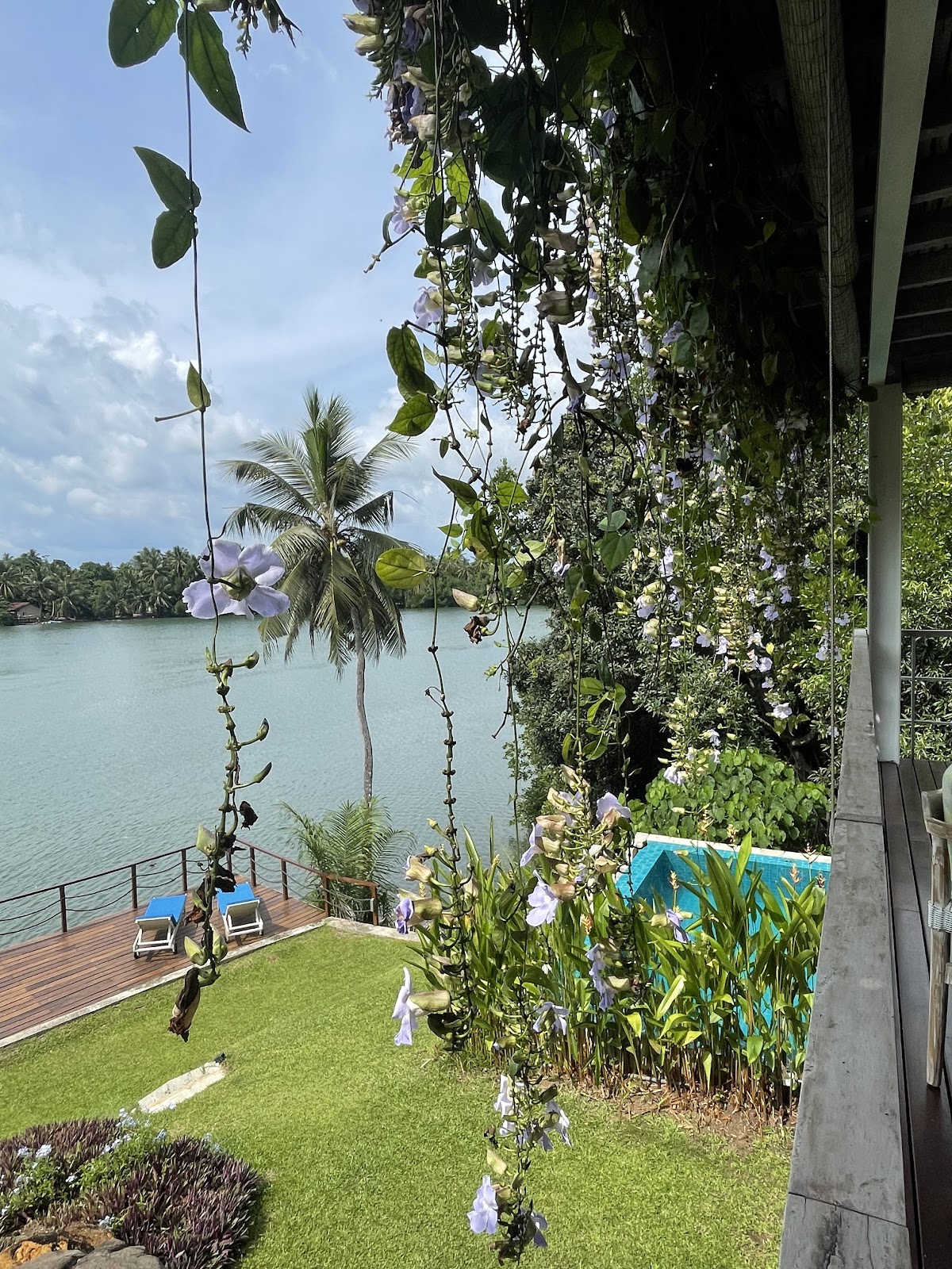 Prana Apana Yoga & Sound Healing Retreats — 4