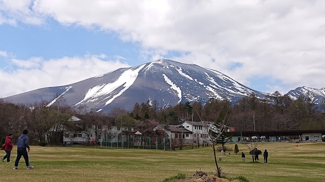 Takeuchi Golf Practice Range - Photo 4