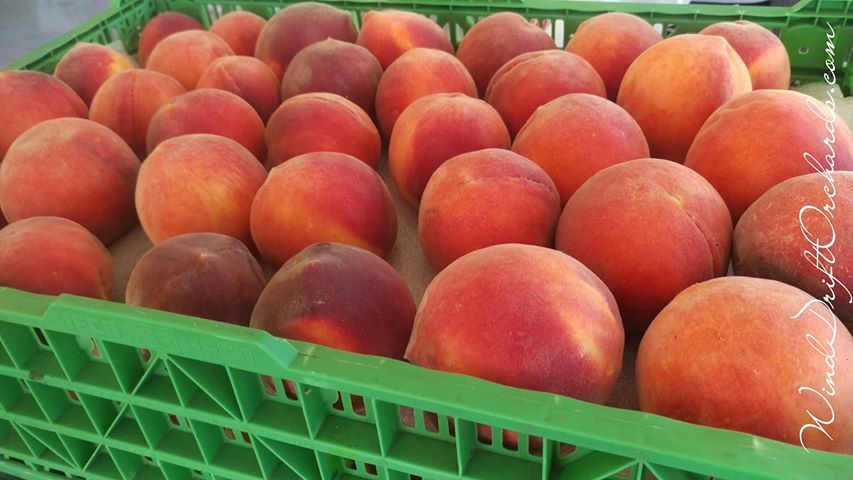 Wind Drift Orchards