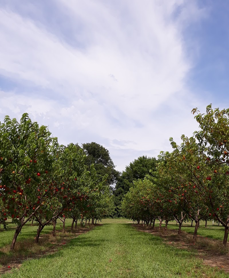 Wind Drift Orchards - Photo 4