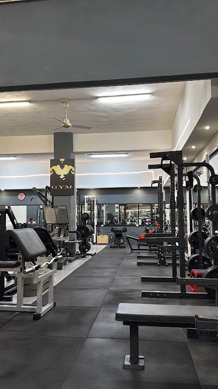 Gymnasium Cagliari Società Sportiva Dilettantistica