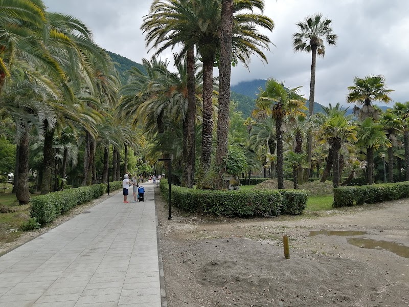 Приморский парк: что важно знать перед визитом