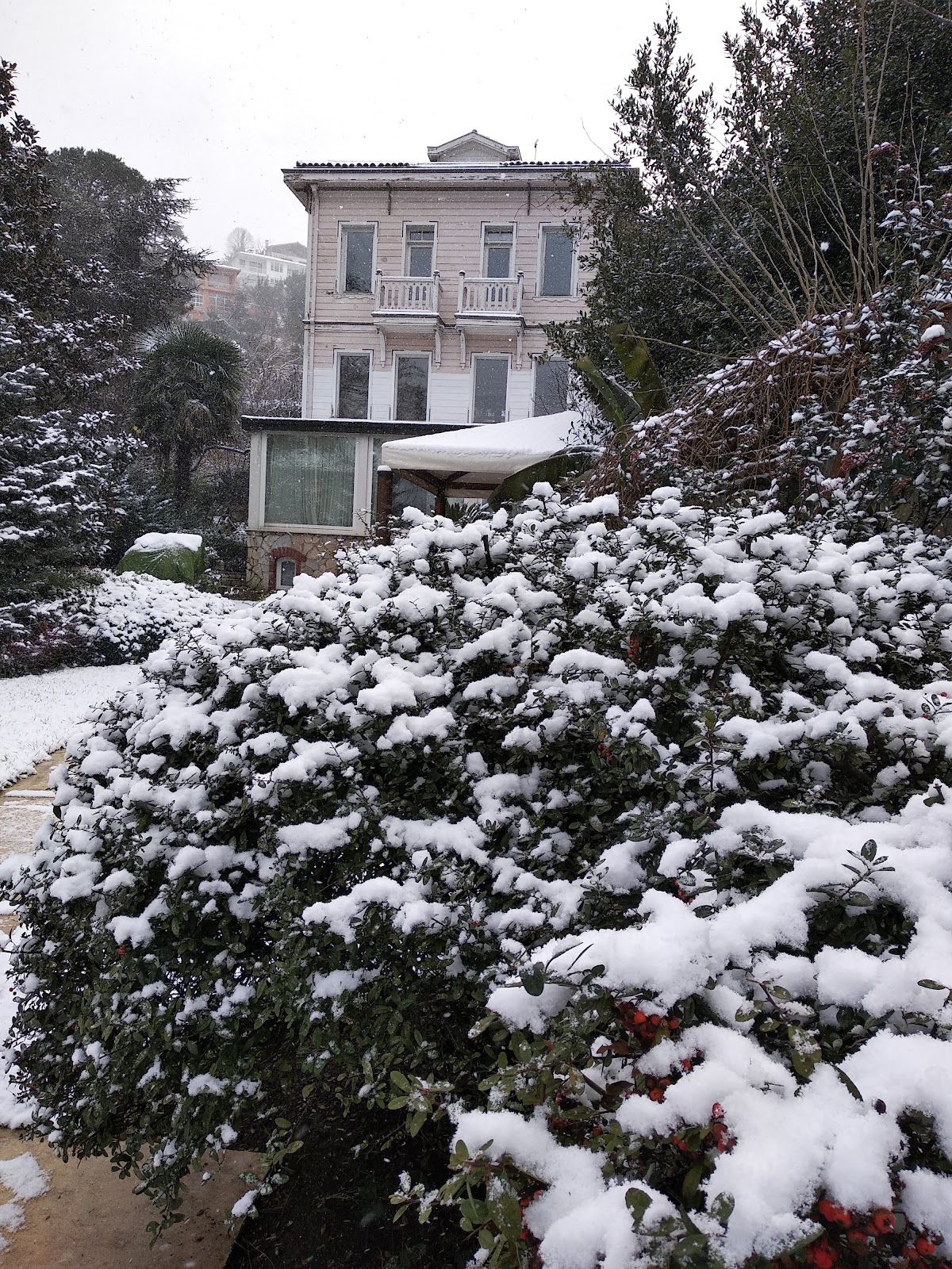 Etkin İnsan Gelişim Enstitüsü İstanbul