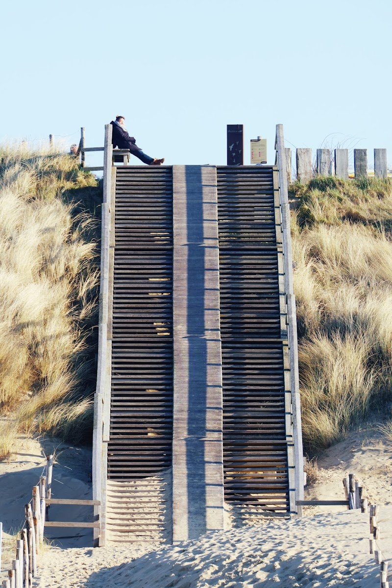 De Punt Scheveningen