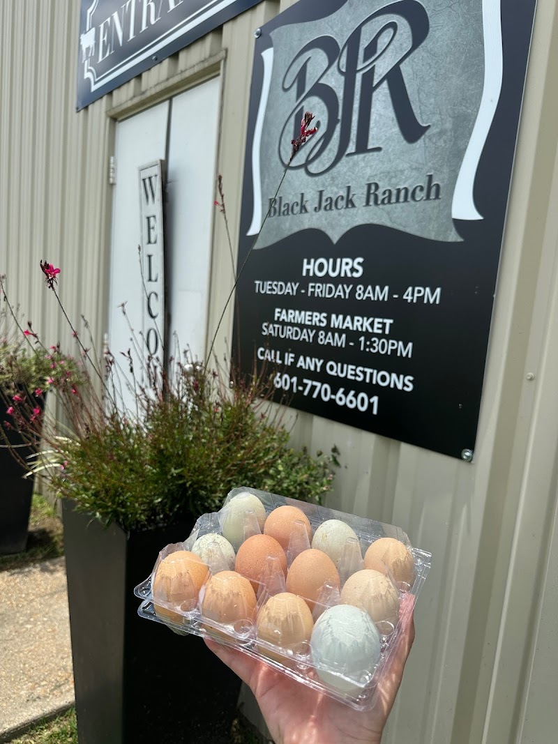Black Jack Ranch - Photo 6