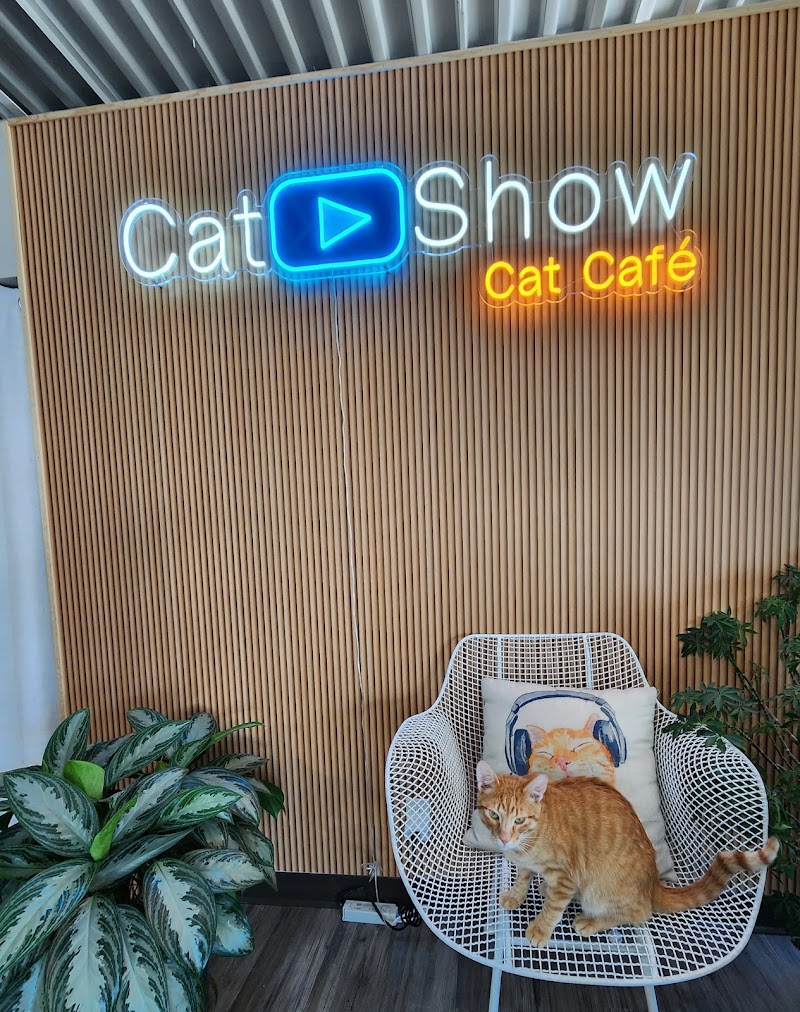 Cat Show Cat Café