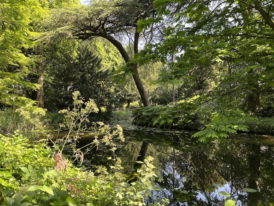 Historische Tuin Schoonoord fotoğraf 1