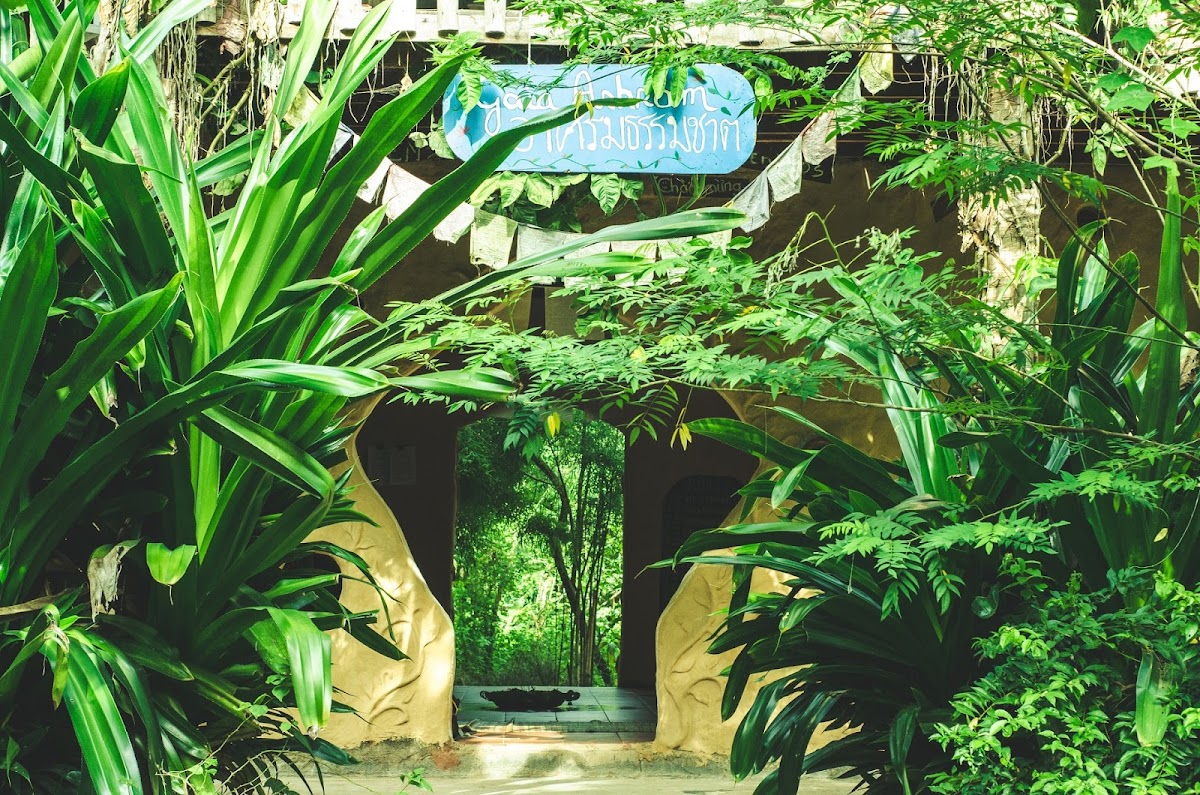 Gaia Ashram อาศรมธรรมชาติ(ศูนย์เรียนรู้บ้านดิน)