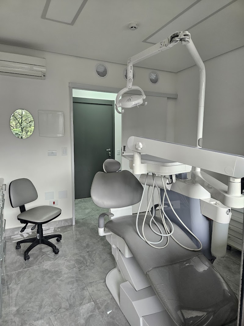 Dra Ferezin - foto 2