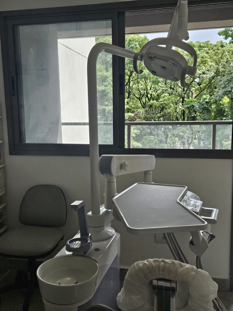 Dra Ferezin - foto 4