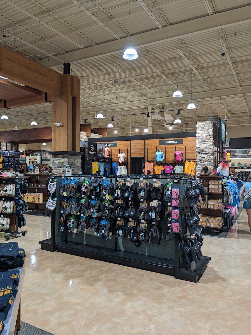 Sportsman's Warehouse #602 photo