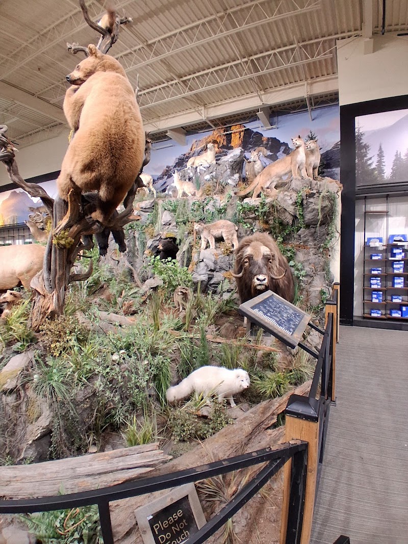 Sportsman's Warehouse #602 photo