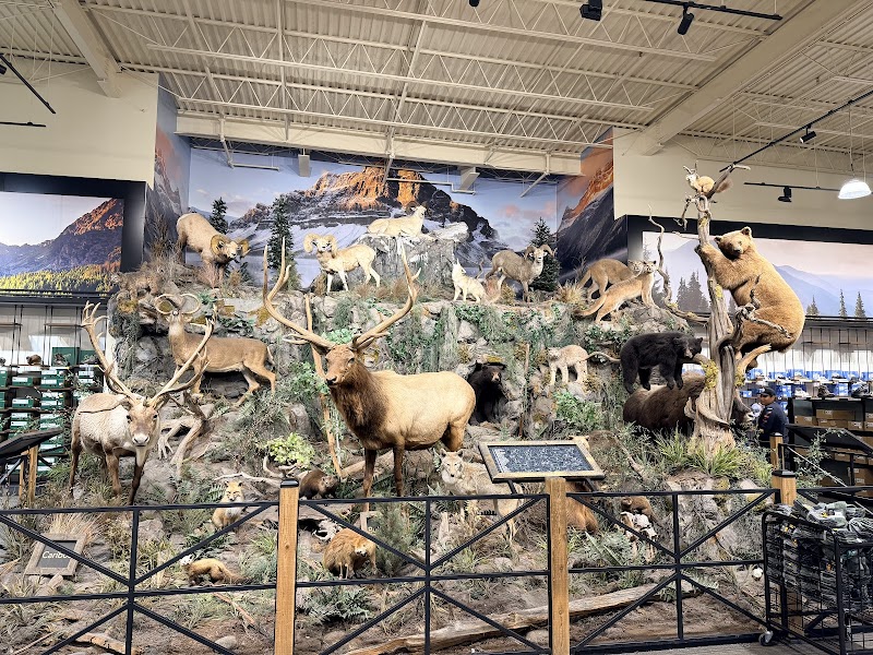Sportsman's Warehouse #602 photo