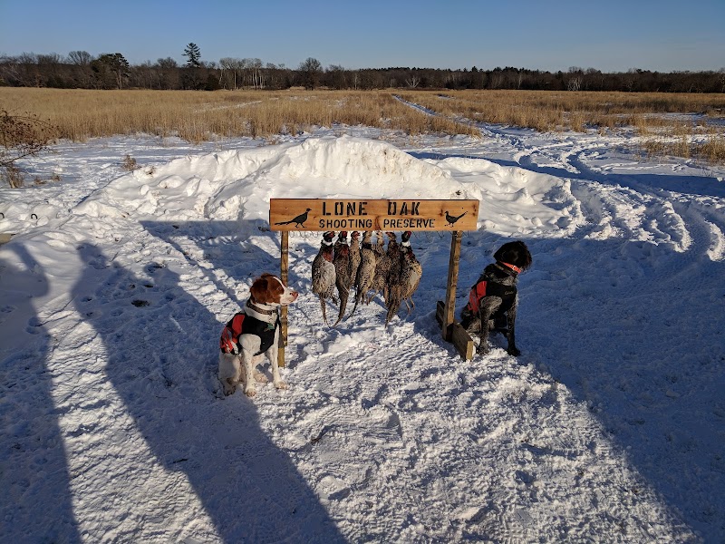 Lone Oak Shooting Preserve LLC - Photo 2