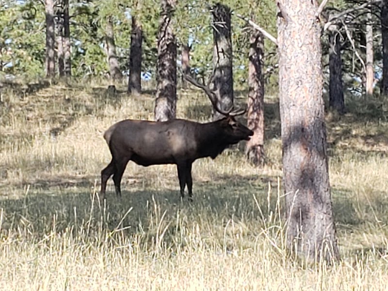 Eastern Plains Outfitters - Photo 4