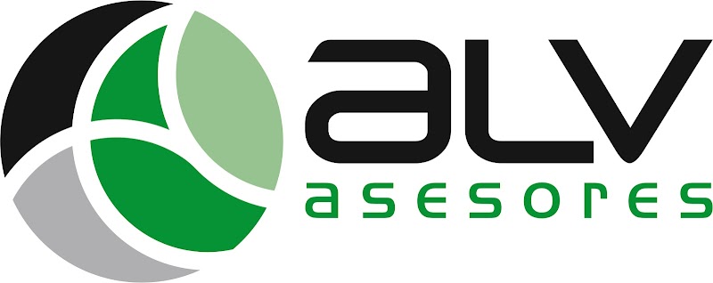 ALV ASESORES photo 1