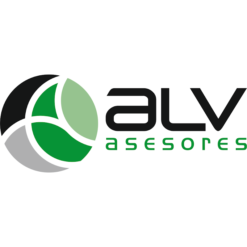 ALV ASESORES photo 2