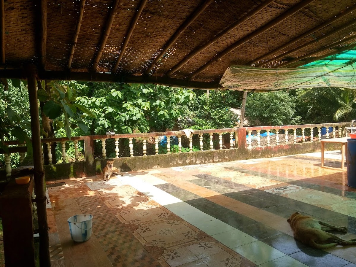 Trip to Goa, India cover