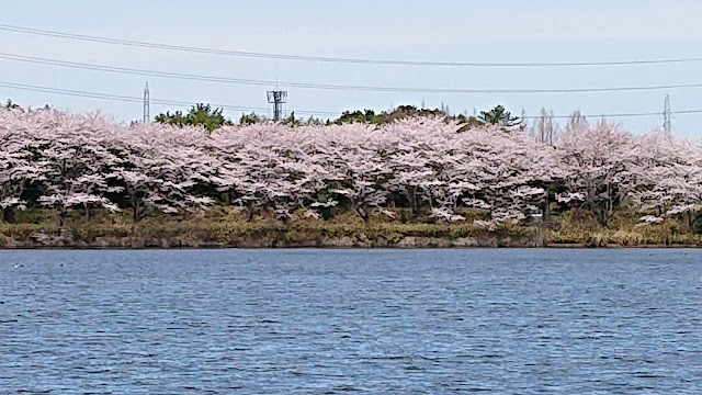 Matsusaka Country Club - Photo 3
