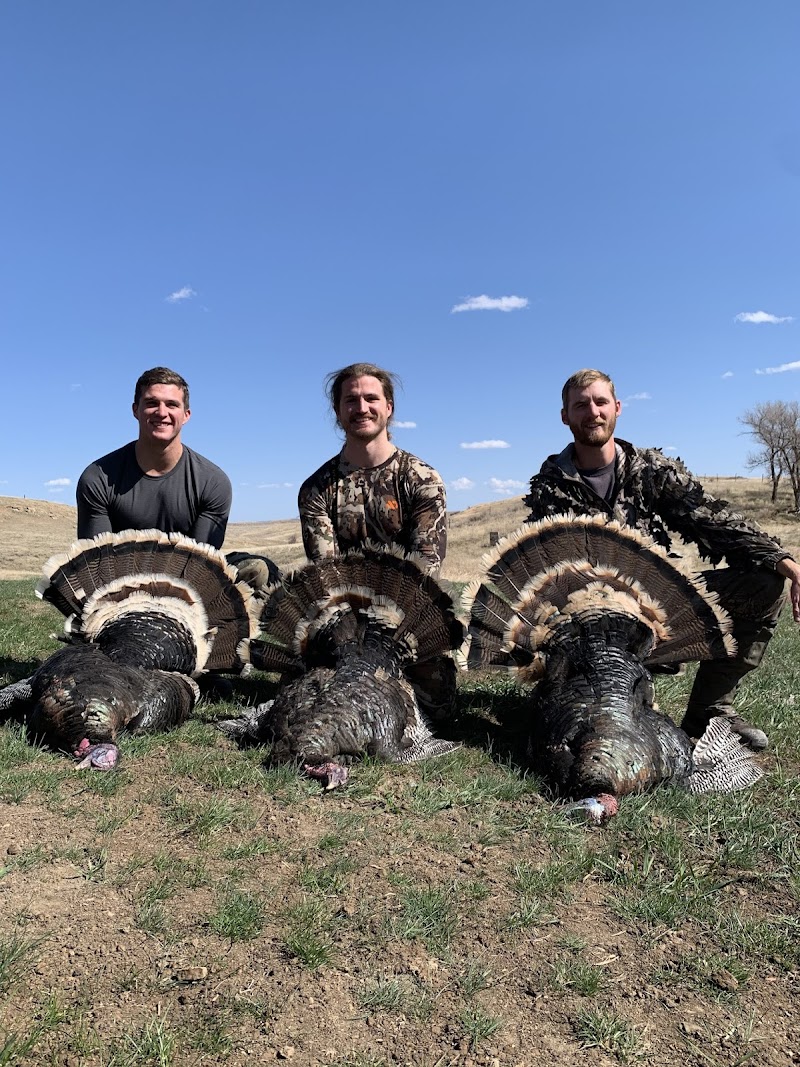 Skyline Outfitters LLC - Photo 4