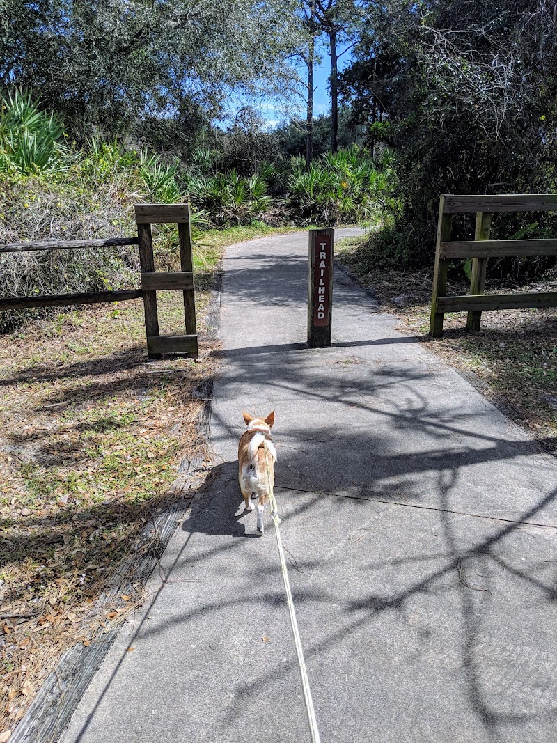 Gordy Road Preserve photo 5