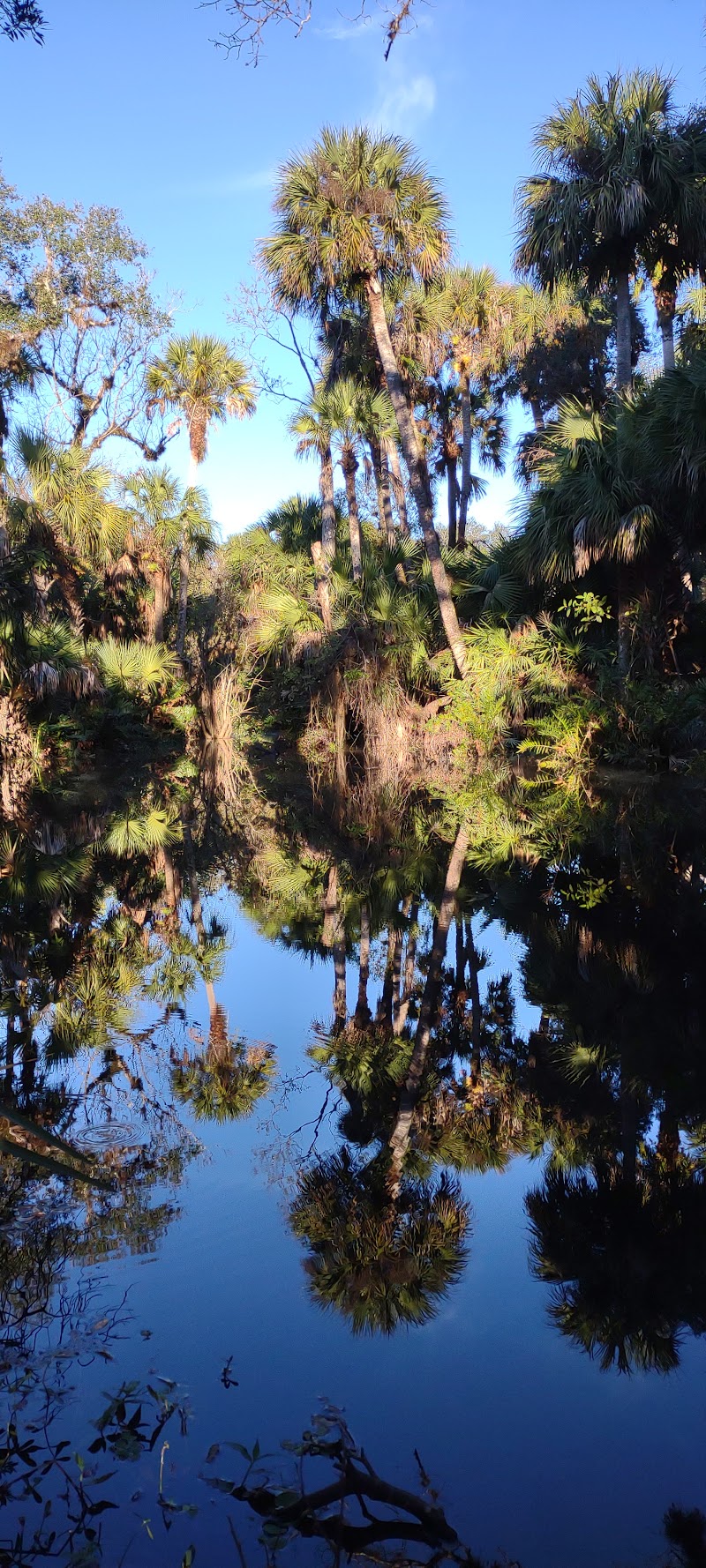 Gordy Road Preserve photo 2