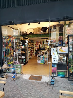 זה וזו - Ze Ve Zoo