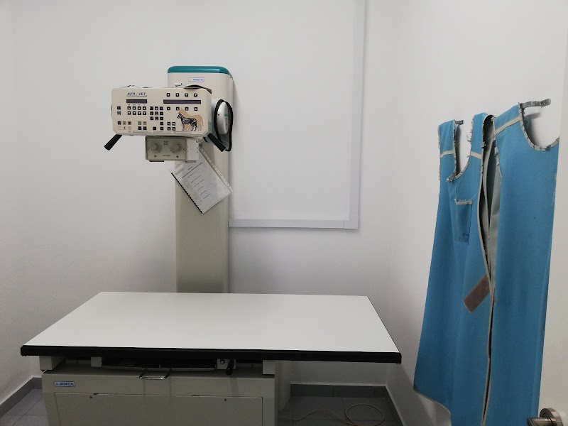 Clínica Veterinaria Raquel Guallart